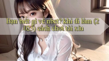 Bạn biết gì về nbet khi đi làm (2025) cách chơi tài xỉu