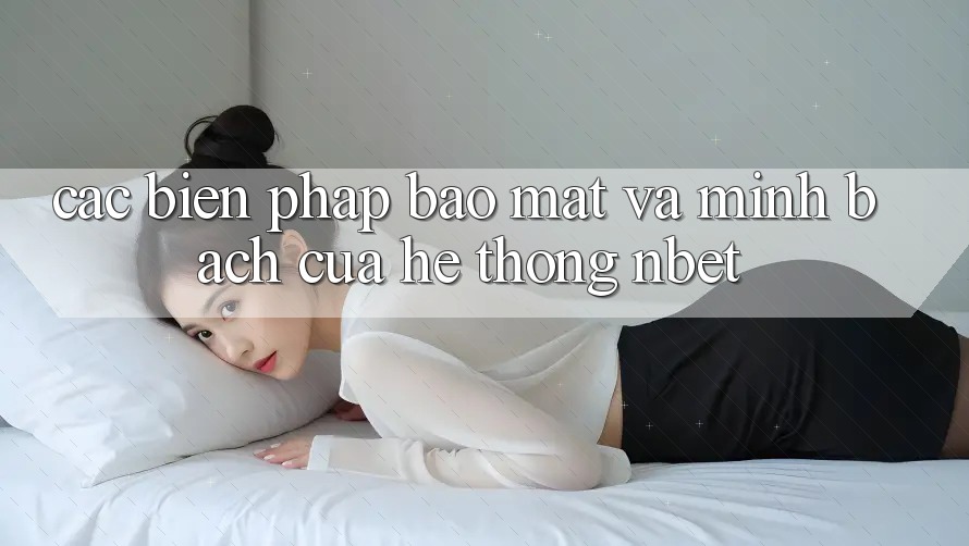 Các Biện Pháp Bảo Mật Và Minh bạch Của Hệ thống NBET