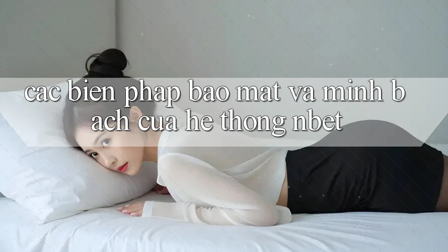 Các Biện Pháp Bảo Mật Và Minh bạch Của Hệ thống NBET