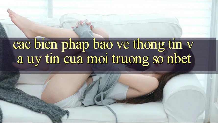 Các Biện Pháp Bảo vệ thông tin Và Uy Tín Của Môi trường số NBET