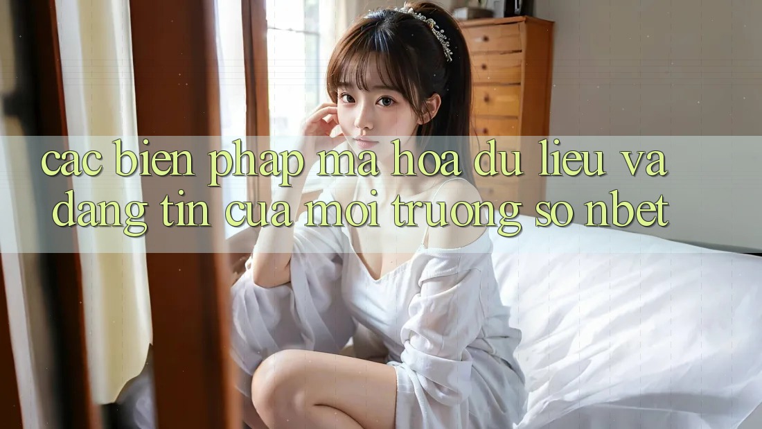 Các Biện Pháp Mã hóa dữ liệu Và Đáng tin Của Môi trường số NBET