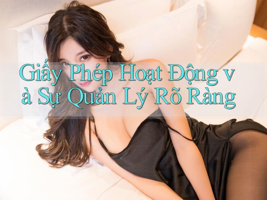 Giấy Phép Hoạt Động và Sự Quản Lý Rõ Ràng