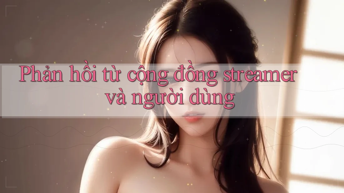 Phản hồi từ cộng đồng streamer và người dùng