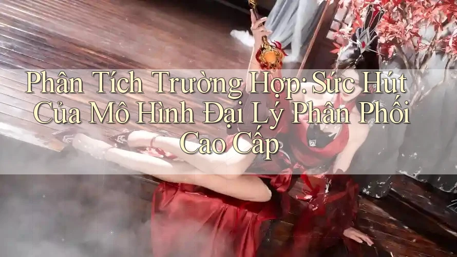 Phân Tích Trường Hợp: Sức Hút Của Mô Hình Đại Lý Phân Phối Cao Cấp